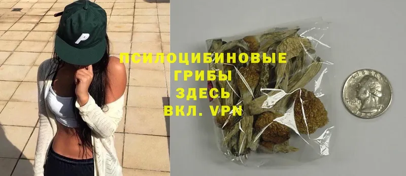 Псилоцибиновые грибы Magic Shrooms  Тольятти 